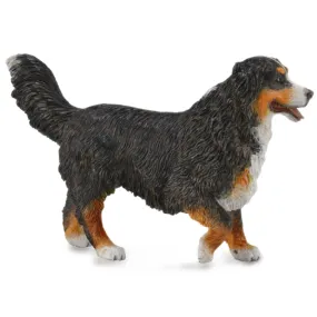 Collecta - Bernese Mountain Dog